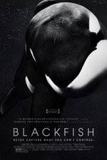 Watch Blackfish Sflix