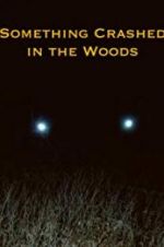 Watch Something Crashed in the Woods Sflix