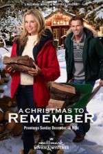 Watch A Christmas to Remember Sflix