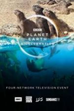 Watch Planet Earth: A Celebration Sflix