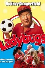 Watch Ladybugs Sflix