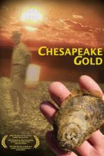 Watch Chesapeake Gold Sflix