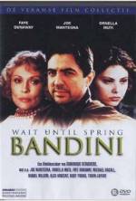 Watch Wait Until Spring, Bandini Sflix