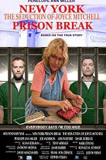 Watch New York Prison Break the Seduction of Joyce Mitchell Sflix
