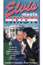 Watch Elvis Meets Nixon Sflix