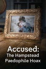 Watch Accused: The Hampstead Paedophile Hoax Sflix