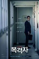 Watch The Witness Sflix