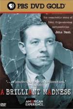 Watch A Brilliant Madness Sflix