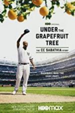 Watch Under the Grapefruit Tree: The CC Sabathia Story Sflix