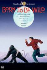 Watch Born to Be Wild Sflix