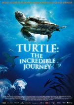 Watch Turtle: The Incredible Journey Sflix