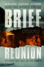 Watch Brief Reunion Sflix
