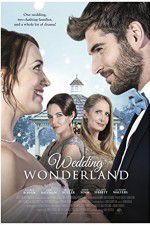 Watch Wedding Wonderland Sflix