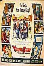 Watch Young Fury Sflix