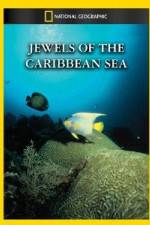 Watch National Geographic Jewels of the Caribbean Sea Sflix