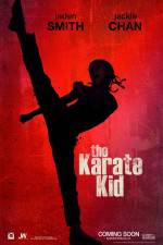 Watch The Karate Kid Sflix