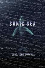 Watch Sonic Sea Sflix