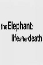 Watch The Elephant - Life After Death Sflix