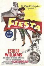 Watch Fiesta Sflix