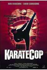 Watch Karate Cop Sflix