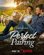 Watch A Perfect Pairing Sflix