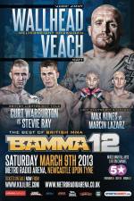 Watch BAMMA 12: Wallhead vs Veach Sflix