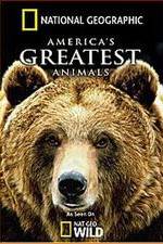 Watch America's Greatest Animals Sflix