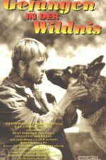 Watch Call of the Wild Sflix