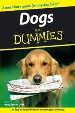 Watch Dogs for Dummies Sflix