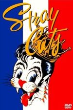 Watch Stray Cats Rock Paris Sflix
