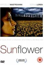 Watch Sunflower Sflix