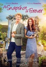 Watch A Snapshot of Forever Sflix