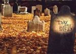 Watch The Day They Died Sflix