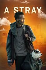 Watch A Stray Sflix