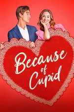 Watch Because of Cupid Sflix