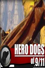 Watch Hero Dogs of 911 Documentary Special Sflix