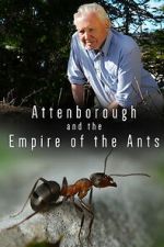 Watch Attenborough and the Empire of the Ants Sflix