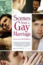 Watch Scenes from a Gay Marriage Sflix