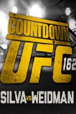 Watch Countdown To UFC 162 Sflix