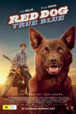 Watch Red Dog True Blue Sflix