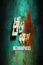 Watch Metamorphoses Sflix