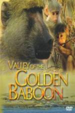 Watch National Geographic Golden Baboons Sflix