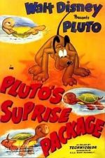 Watch Pluto\'s Surprise Package Sflix