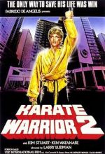 Watch Karate Warrior 2 Sflix