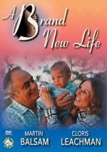 Watch A Brand New Life Sflix