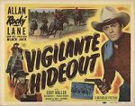 Watch Vigilante Hideout Sflix