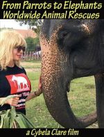 Watch From Parrots to Elephants: Worldwide Animal Rescues Sflix