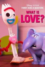 Watch Forky Asks a Question: What Is Love? Sflix
