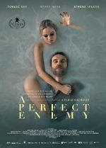 Watch A Perfect Enemy Sflix