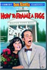Watch How to Frame a Figg Sflix